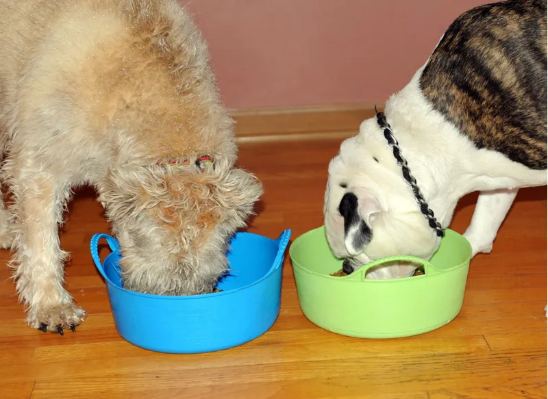 Red Gorilla/Tubtrug Mini Shallow Gorilla Tub 5L Blue-1